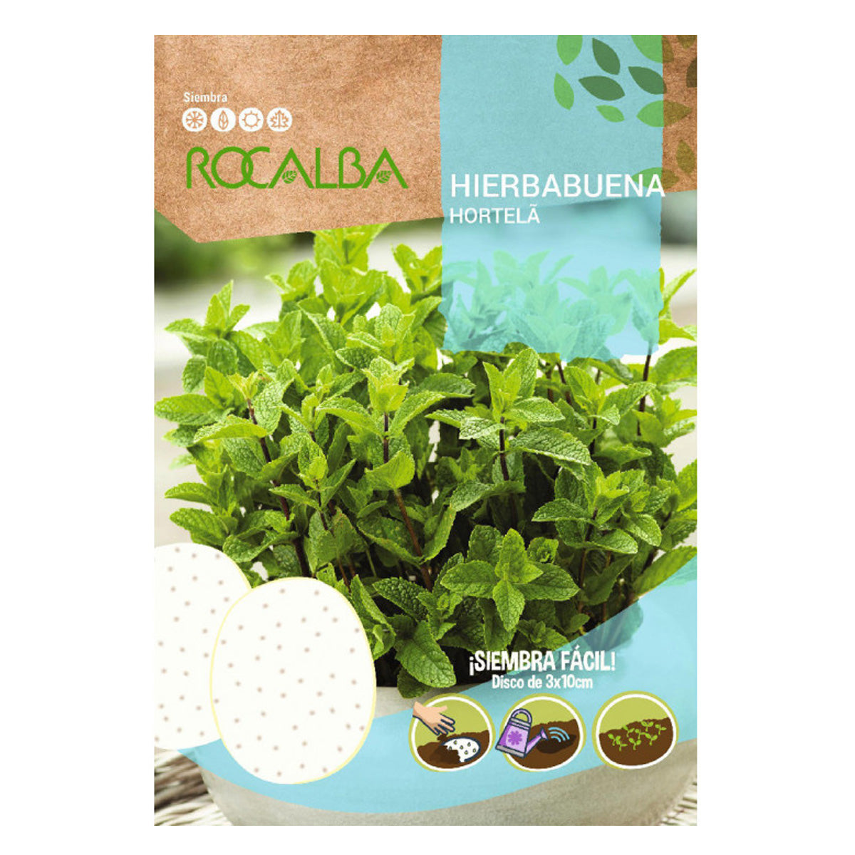 Graines de menthe verte en disques, Rocalba