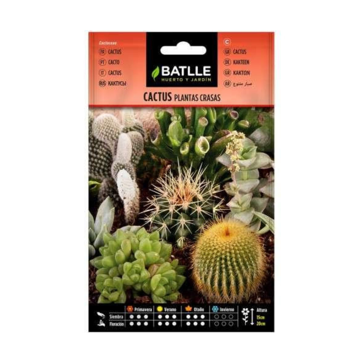Semi di cactus piante grasse Batlle