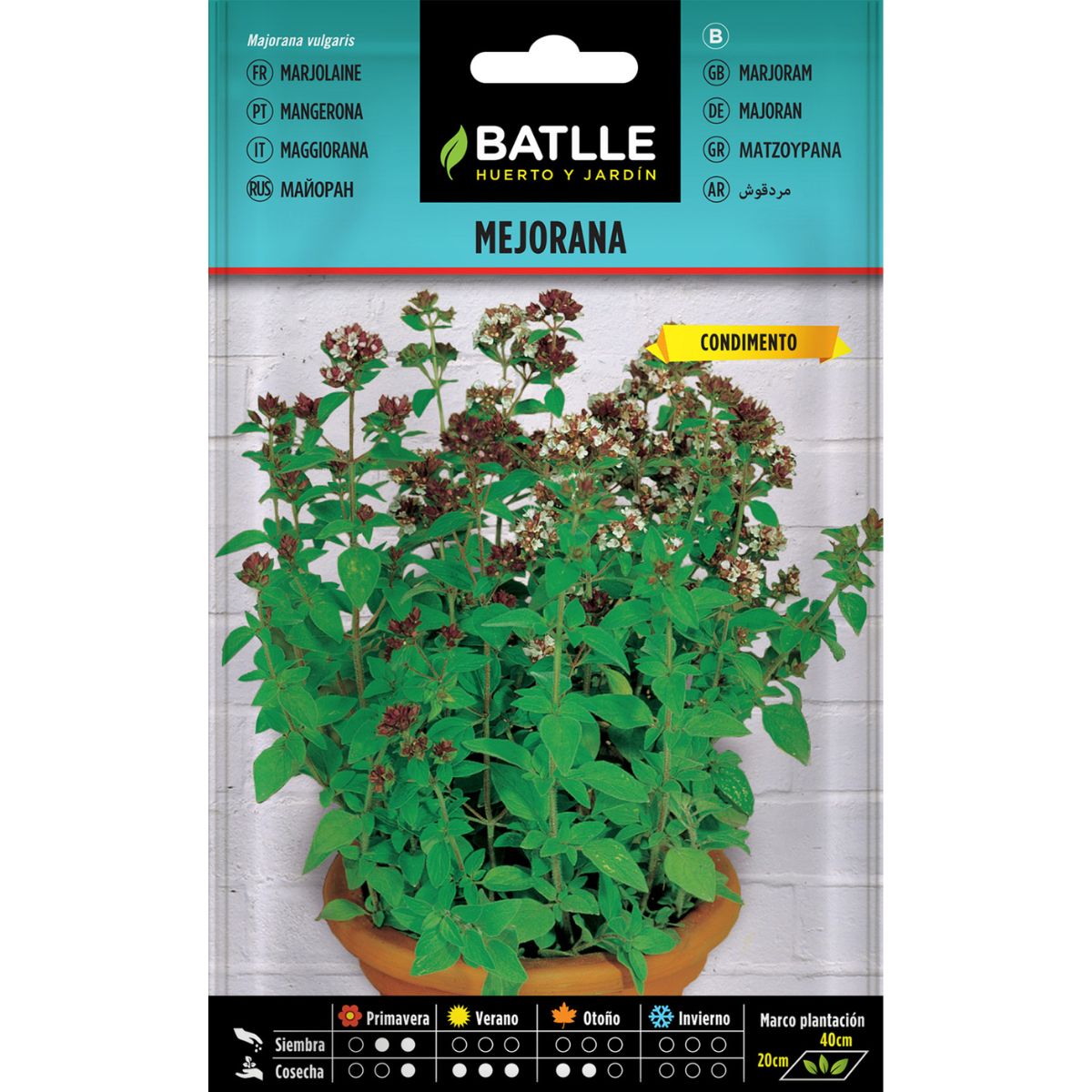 Semi di maggiorana Batlle