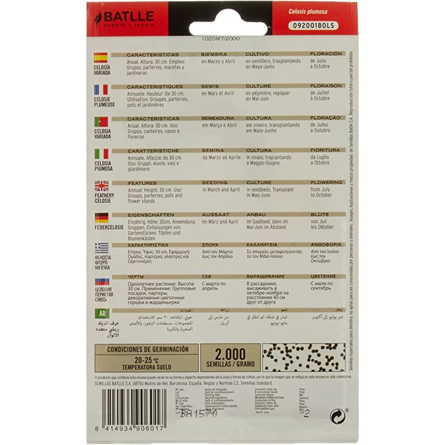 Blandade frön av Celosia plumosa Batlle