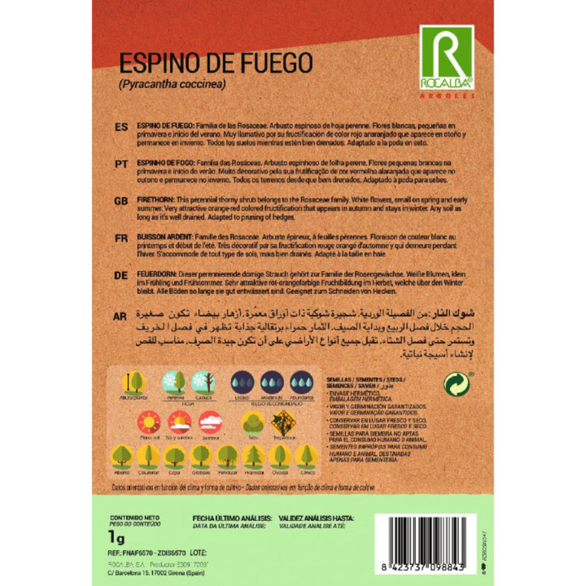 Firethorn seeds Pyracantha coccinea