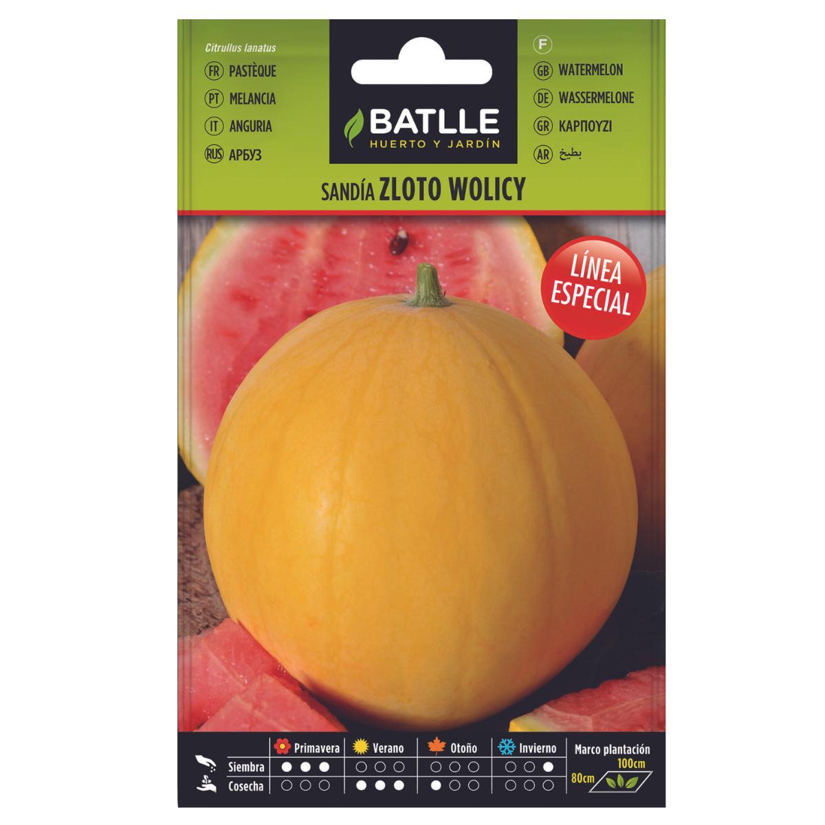 Graines de pastèque Zloto Wolicy Batlle