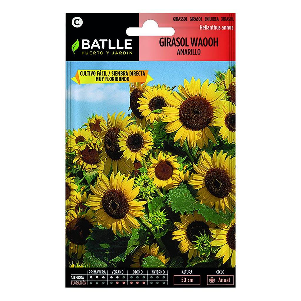Graines de tournesol Waooh jaune Batlle