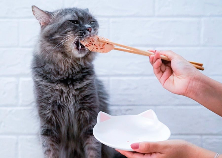 Kit Cat FilletFresh - Sgombro alla griglia 30 g Snack naturale per gatti