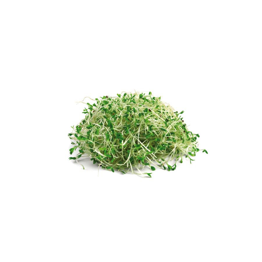 Alfalfa 400 mg 200 comprimés El granero