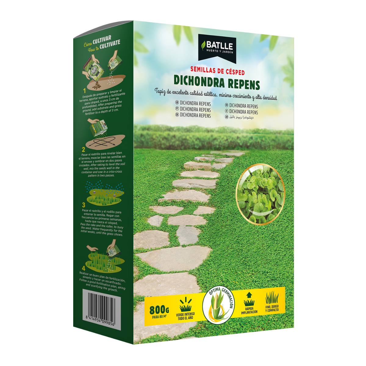 Semi di erba Dichondra repens Batlle 100 g