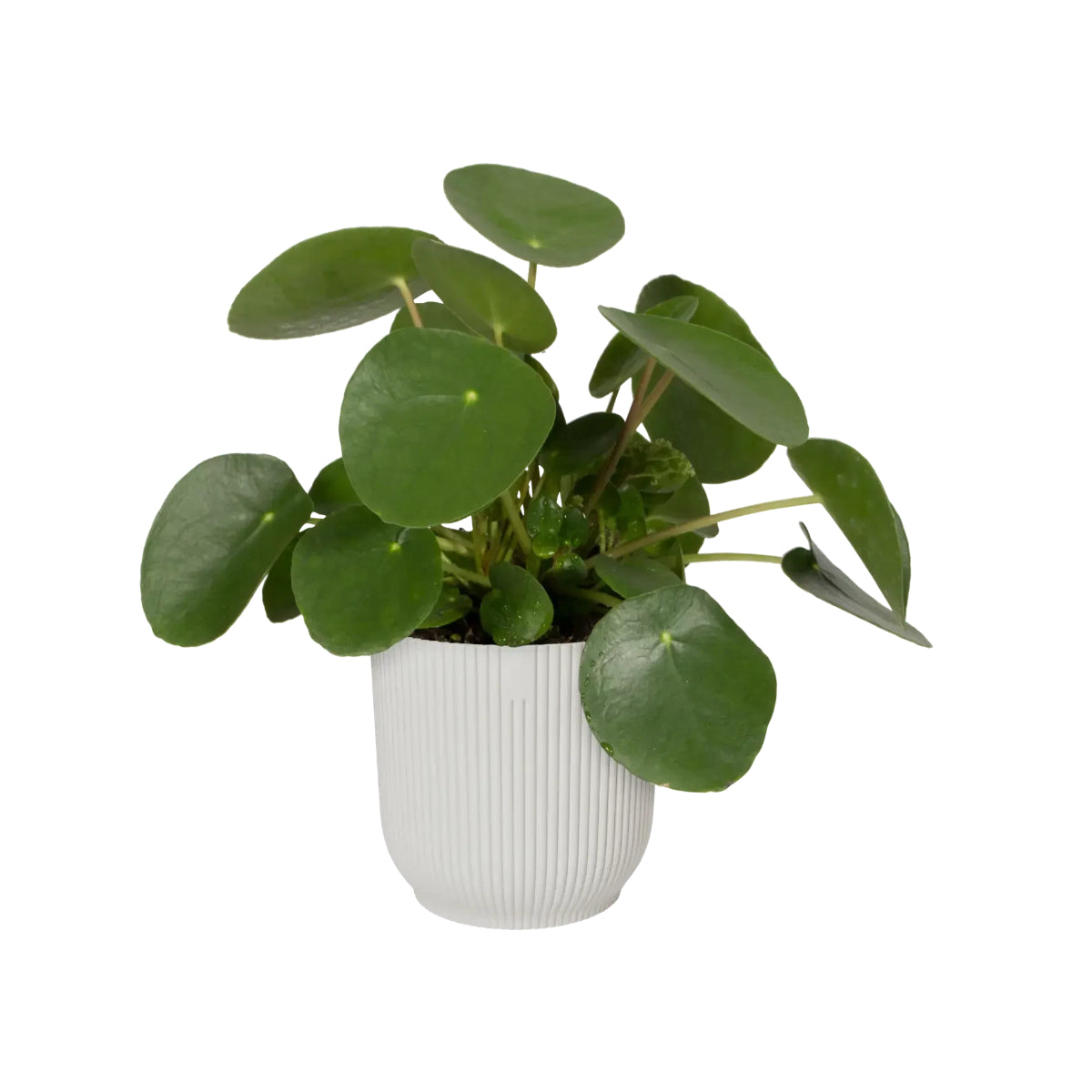 Bloempot Vibes Fold Round Silky White Elho 18 cm