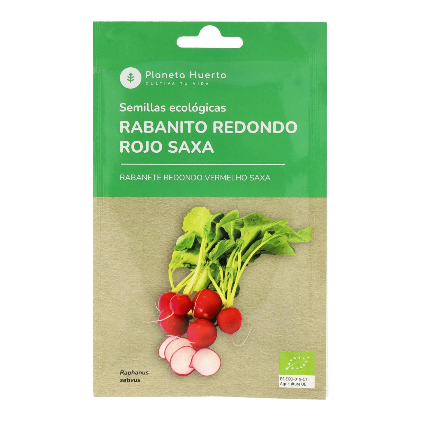 Semi biologici di Ravanello rosso rotondo saxa Planeta Huerto