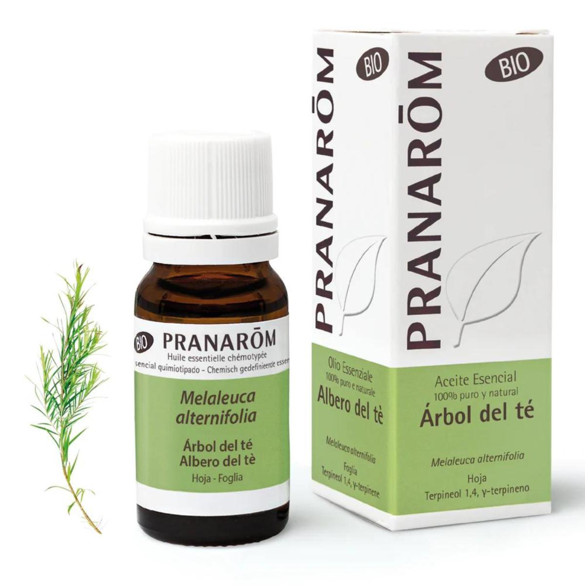 Organic Tea Tree Essential Oil, Pranarôm 10 ml