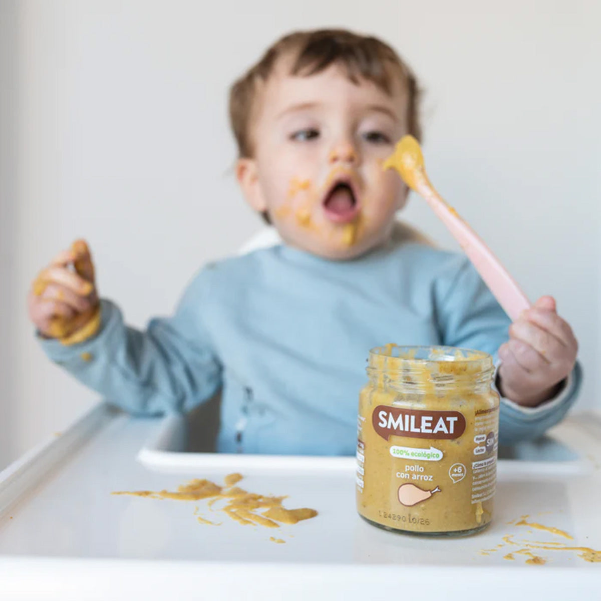 Zestaw 12 słoiczków BIO kurczak z ryżem +6 miesięcy Smileat, 230 g