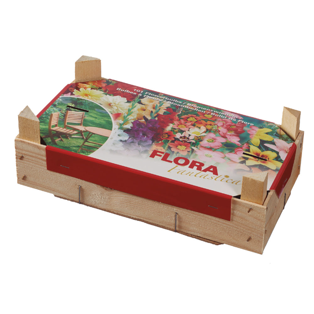 Confezione Tray Mix Bulbos Primavera Elite 100 pezzi