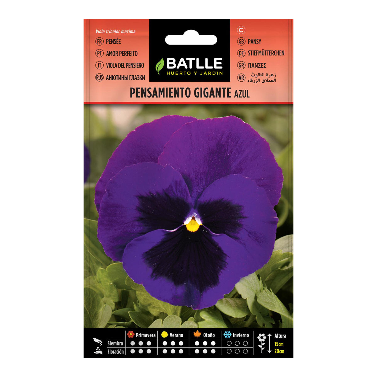 Semi di viole del pensiero giganti blu Batlle