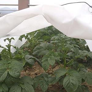 Frostschutz-Anzuchtstunnel 3 m Biotop