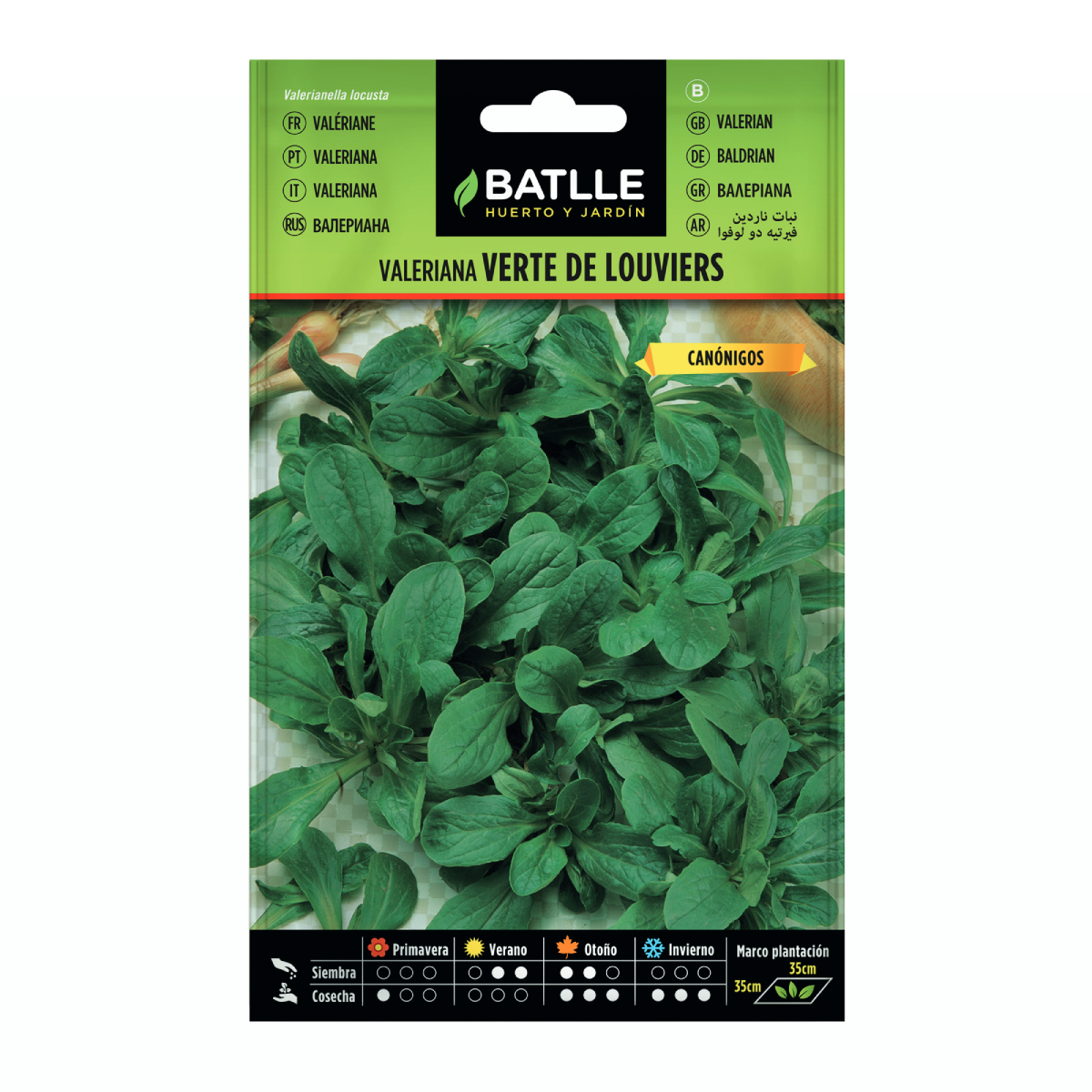 Verte de Louviers valeriaanzaden Batlle