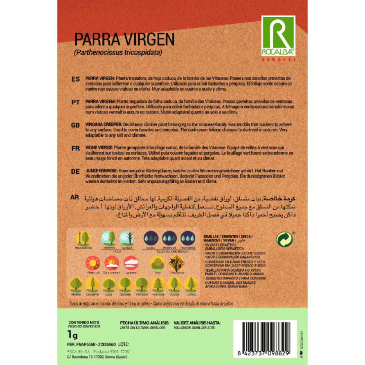 Zaden van wilde wingerd Parthenocissus tricuspidat