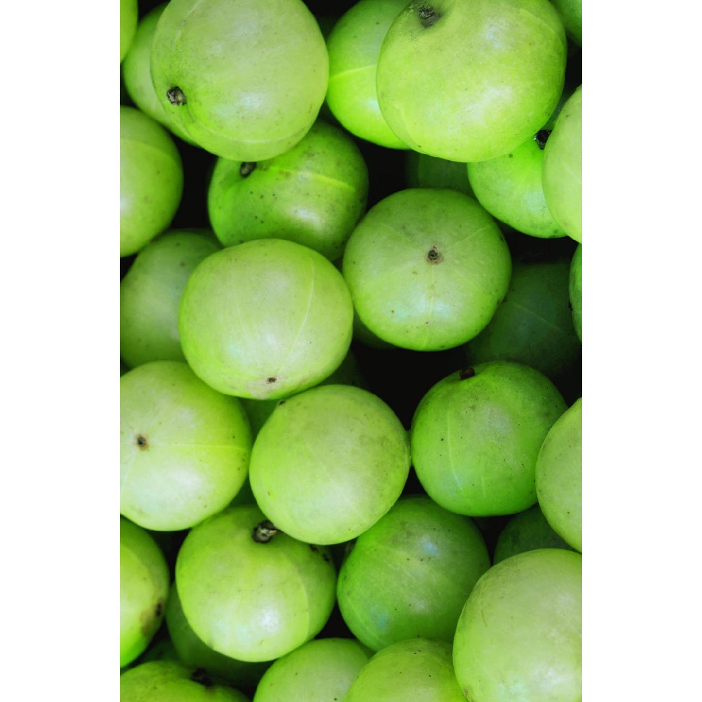 Maschera rinforzante per capelli Amla Khadi 50 g