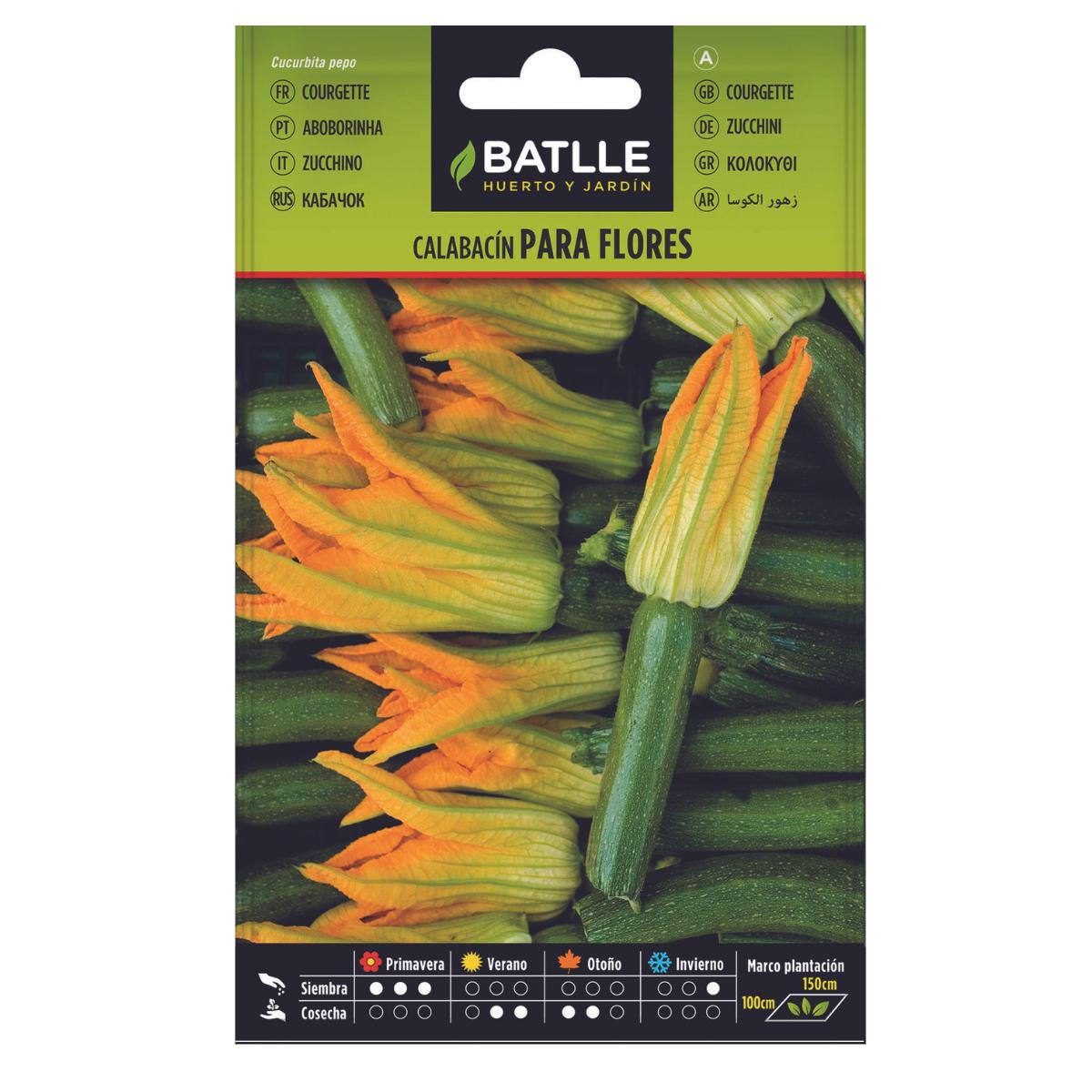 Batlle courgette seeds for flowers