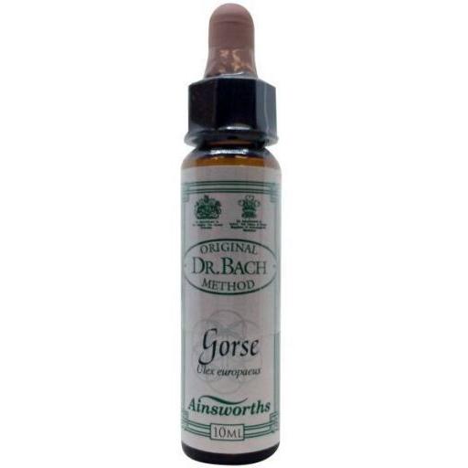 Bach Gorse-Aulaga 10 ml Santiveri