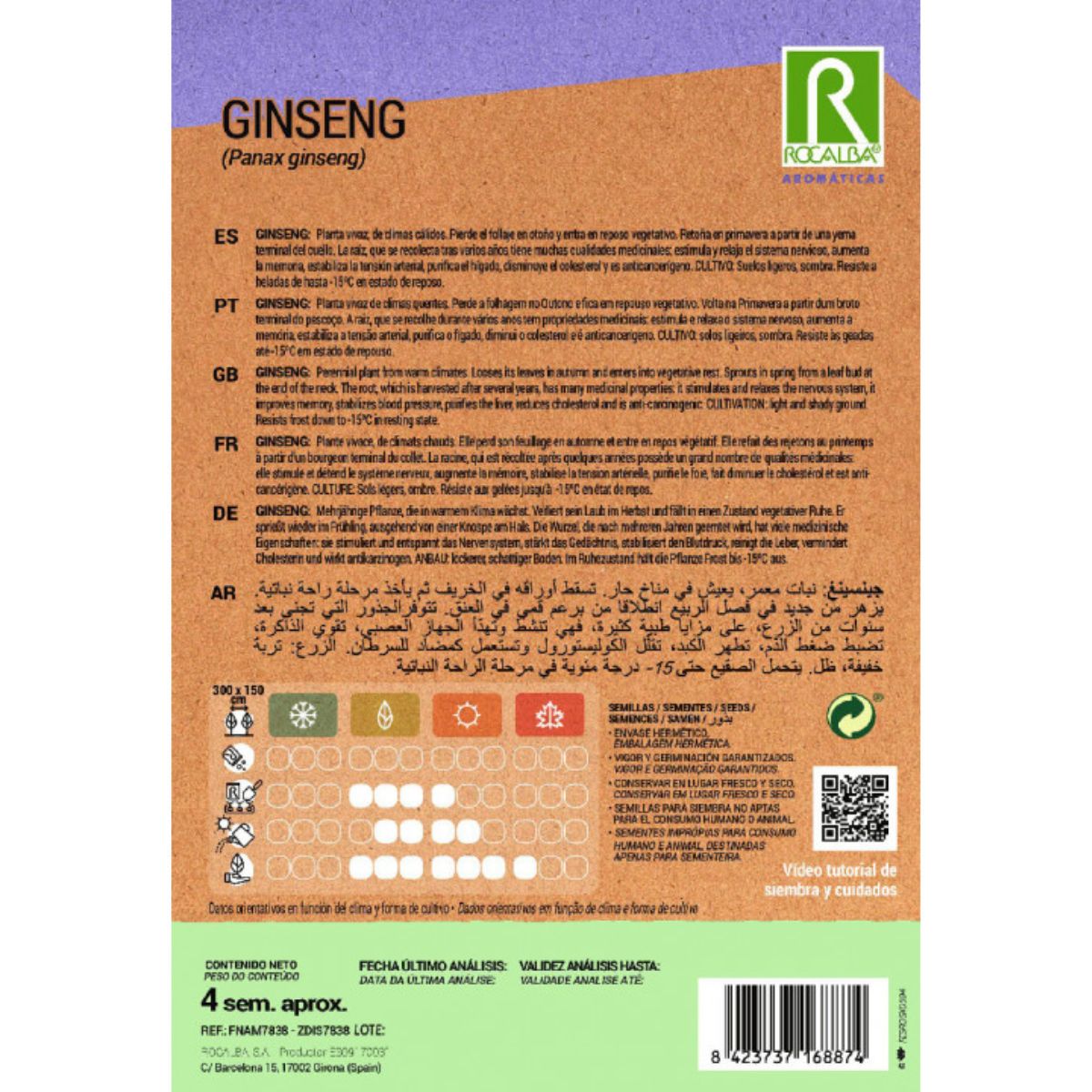 Graines de ginseng