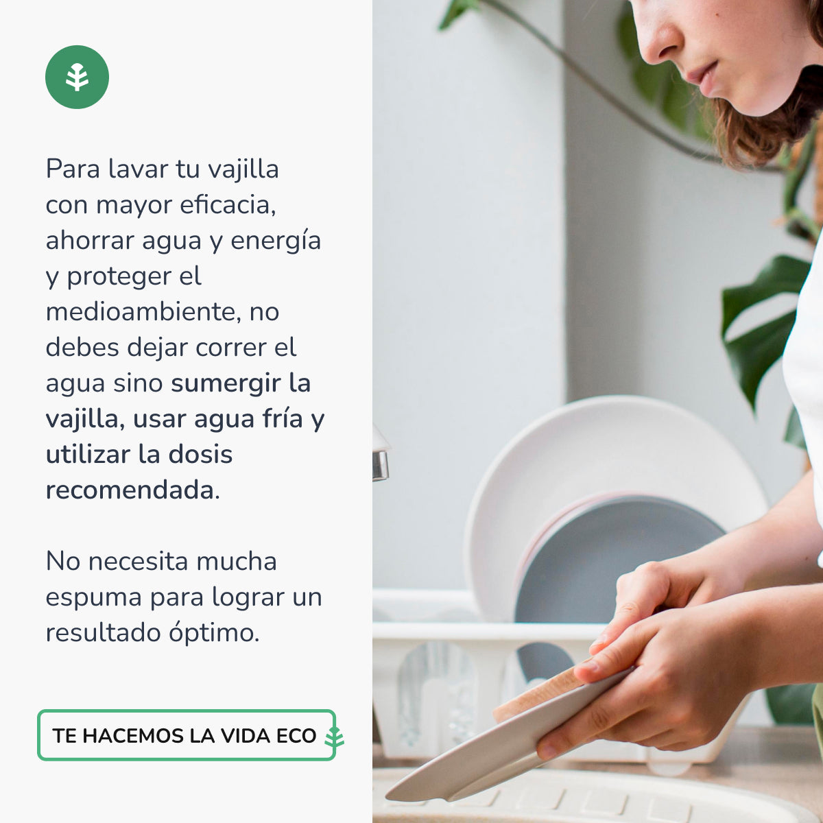 Pack 3xDishwasher Manual Green Tea ECO Green Planet Garden 750ml