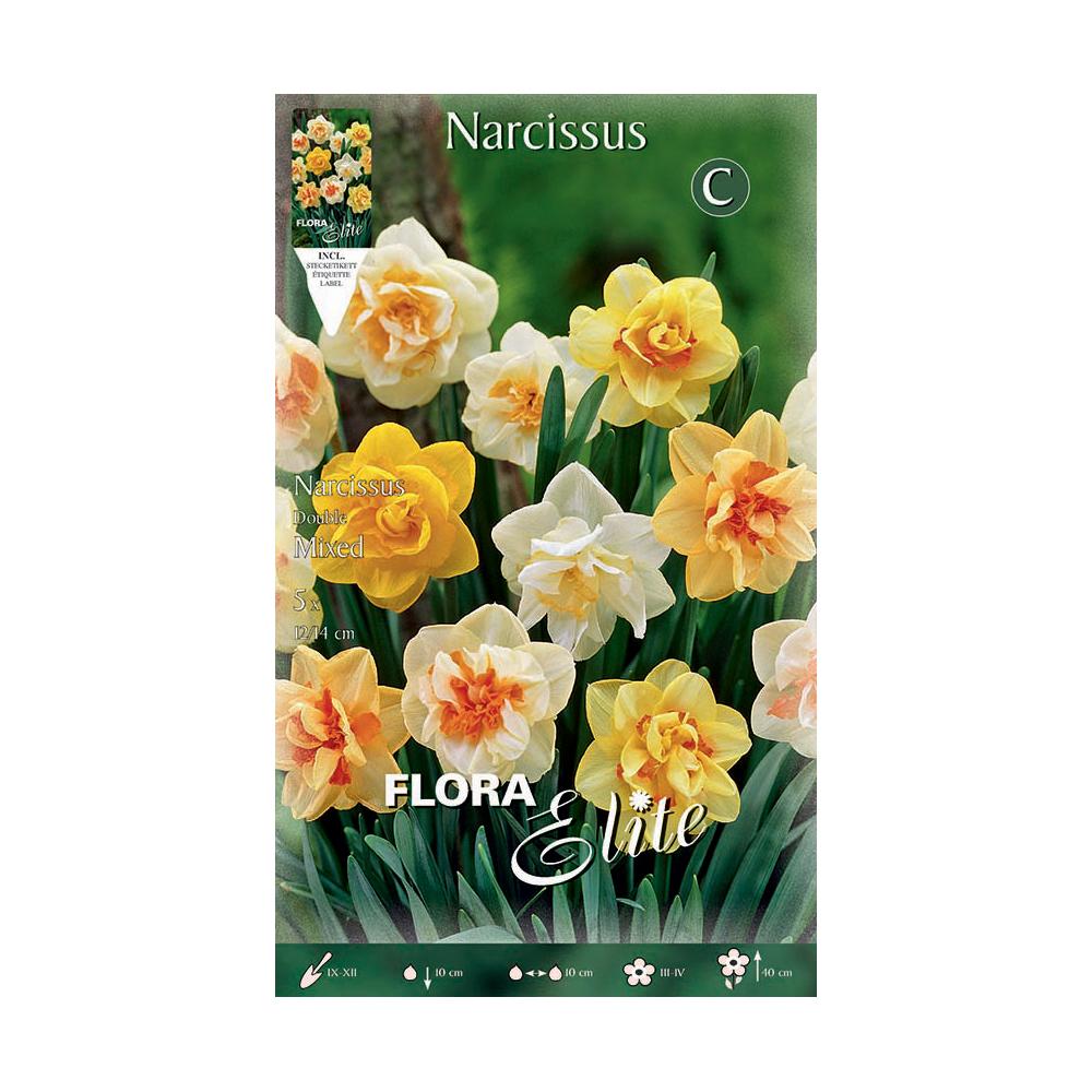 Bulbos Narciso Corona mezcla 5 uds