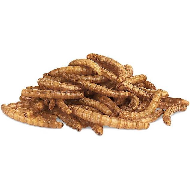 Little One Snack Mealworms 70 g