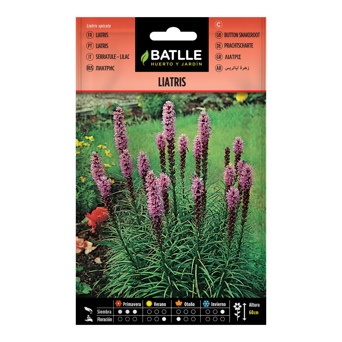 Semi di Liatris Batlle