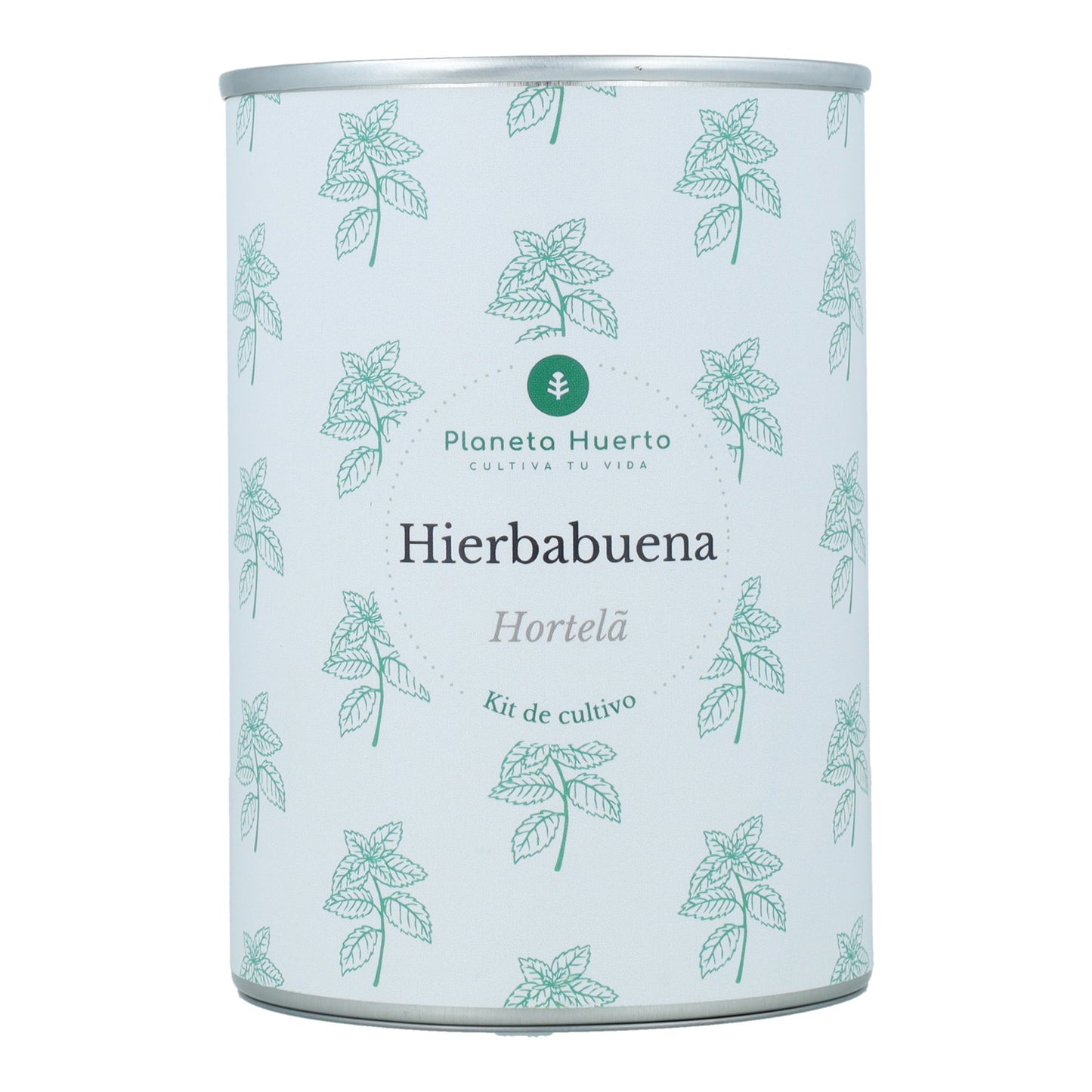 Kit per la coltivazione della menta aromatica Planeta Huerto