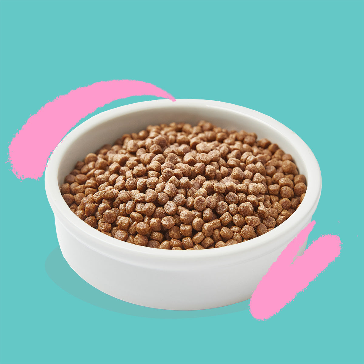 Croquettes pour chatons Kitten Canard et Poulet frais Edgard & Cooper 2 kg