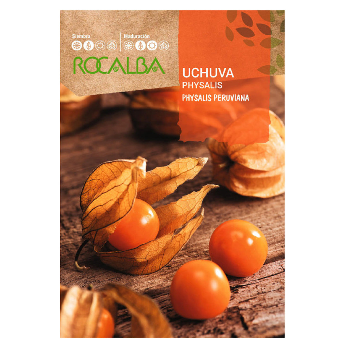 Zaden van Physalis Uchuva, Rocalba