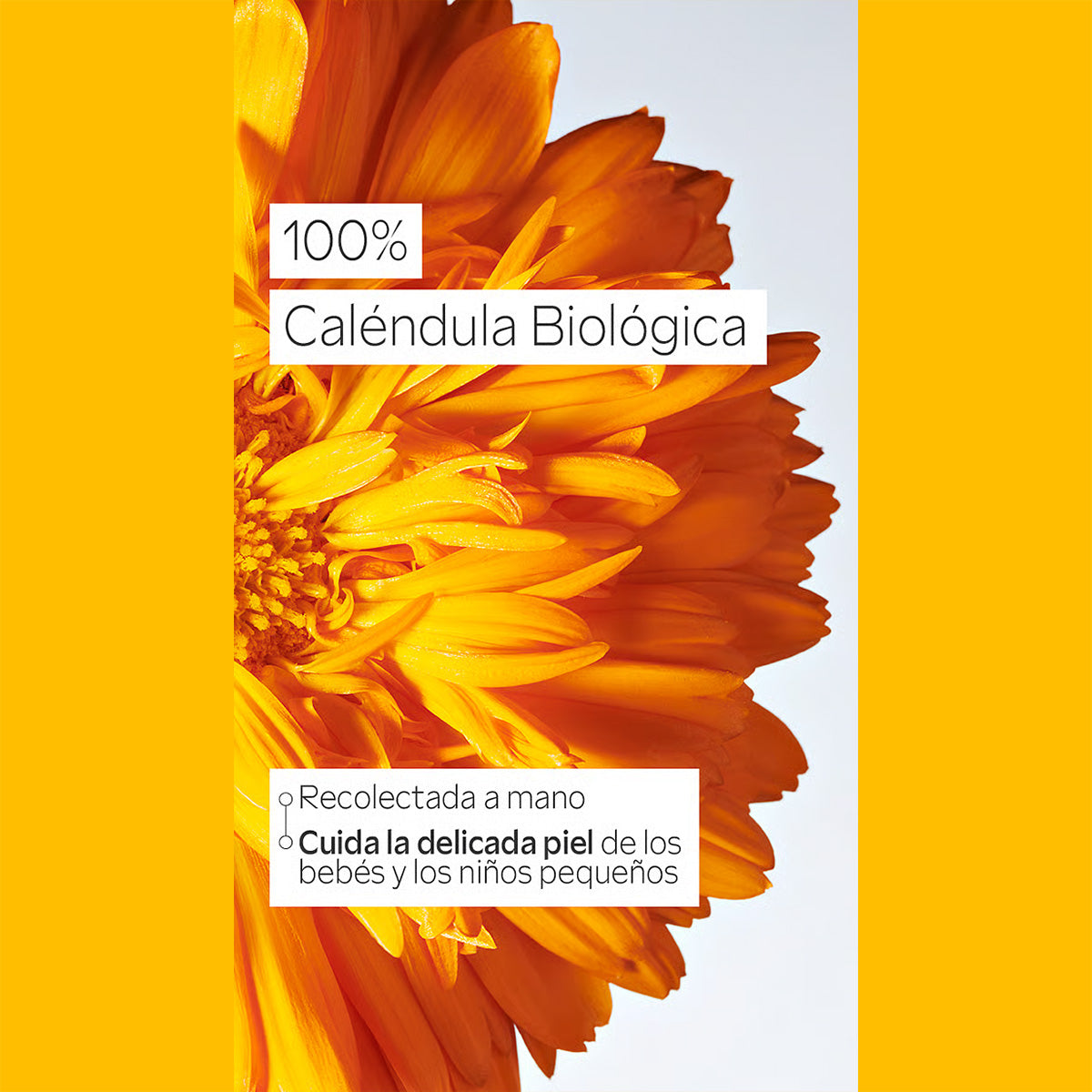 Weleda Babybauchöl, 50 ml