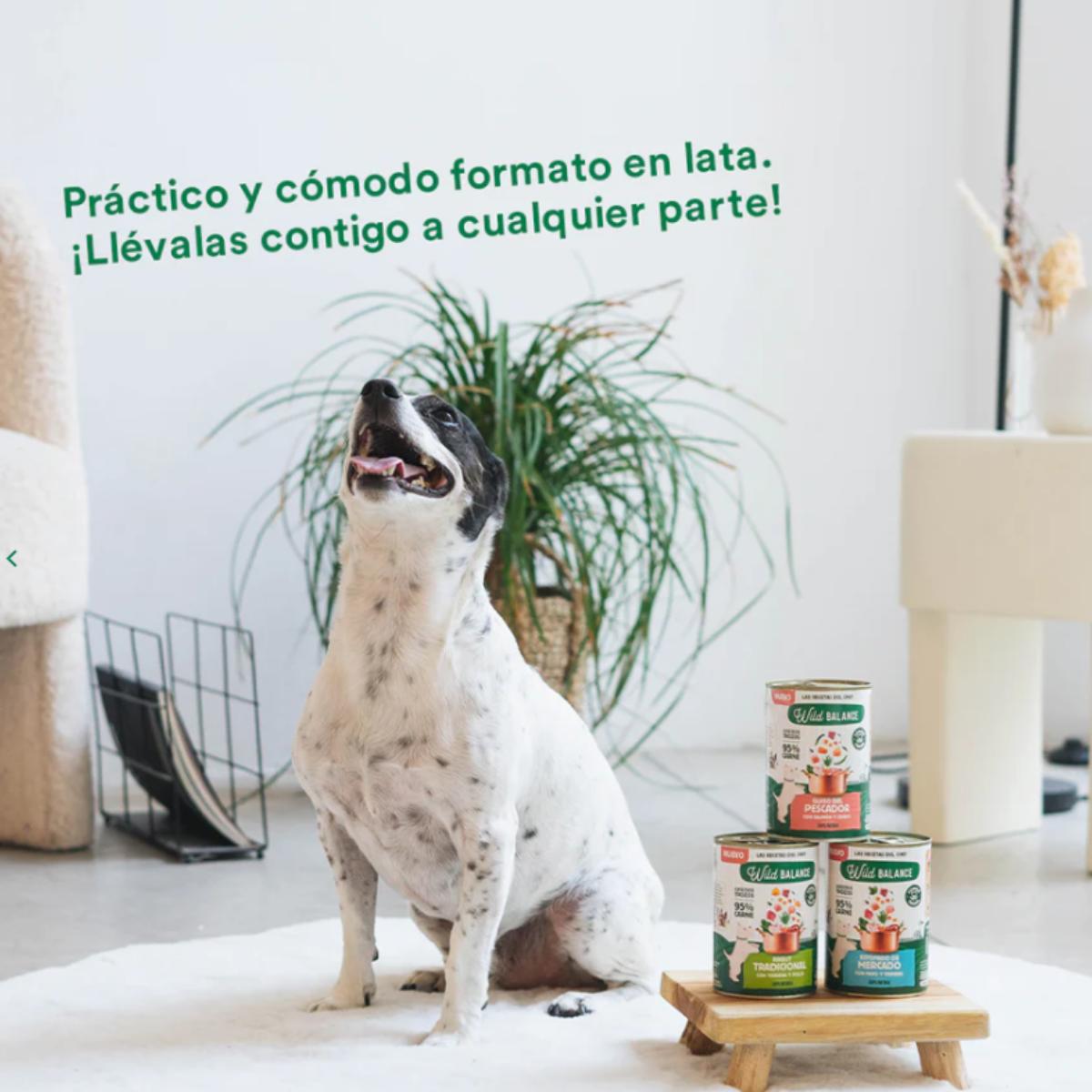 Lattina intera Stufato di mercato con tacchino e manzo per cani Wild Balance 400 g