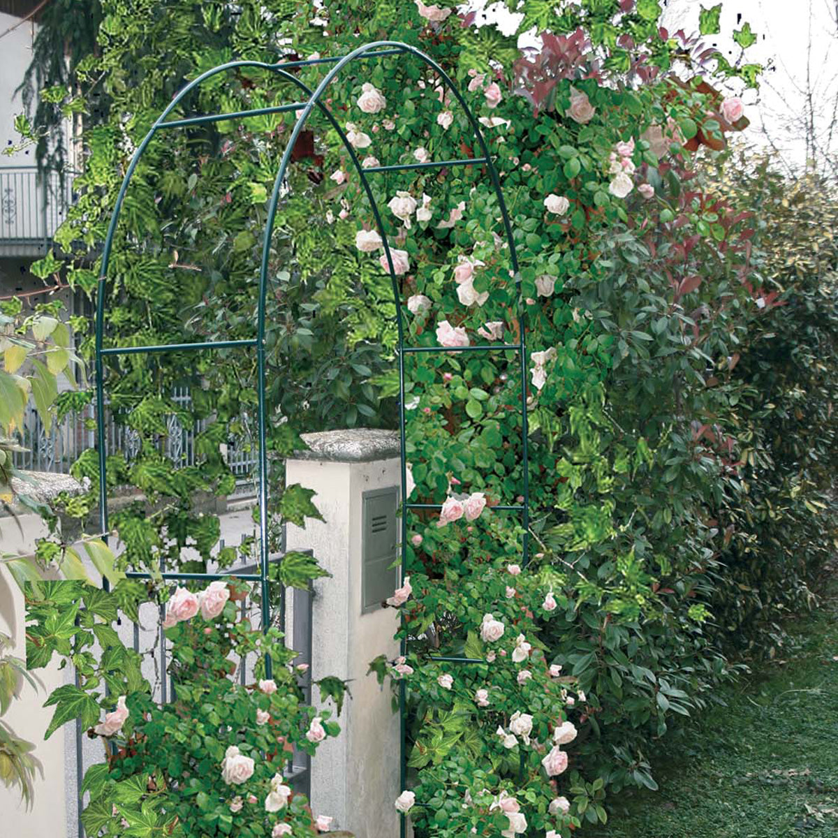 Dekorativer Eisenbogen Verdemax