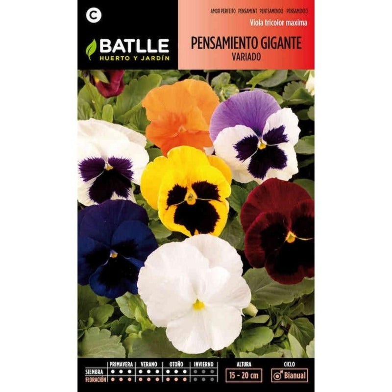 Batlle Assorted Giant Pansy Seeds