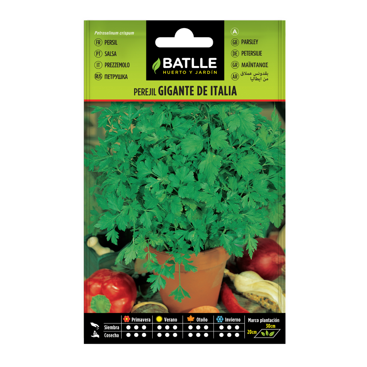 Semi di prezzemolo gigante italiano Batlle