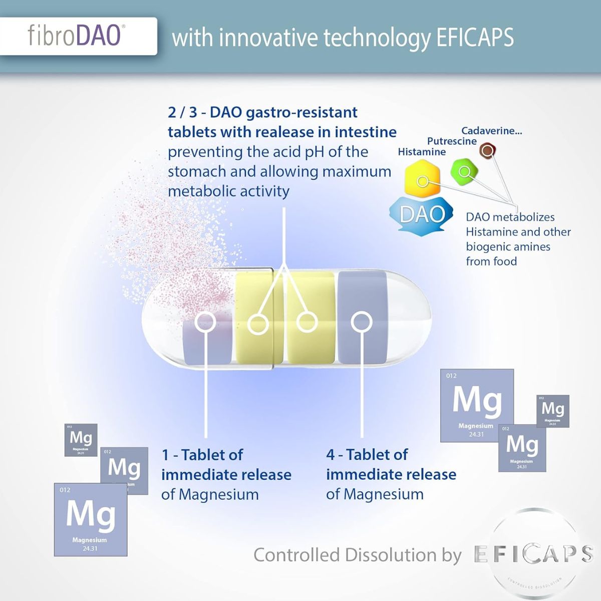 fibroDAO® 60 capsules with gastro-resistant tablets