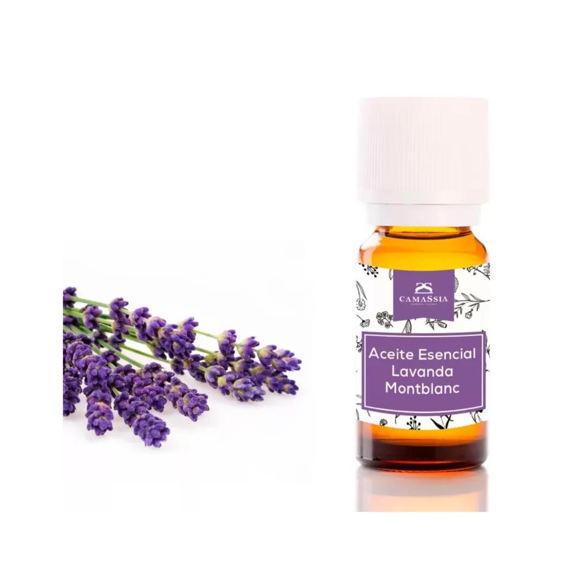 Lavender essential oil, Camassia 10 ml
