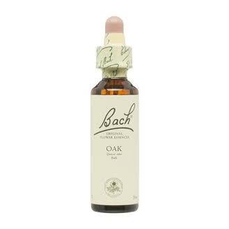 Bach 22 Oak 20 ml (kwiaty Bacha dębu) Bach