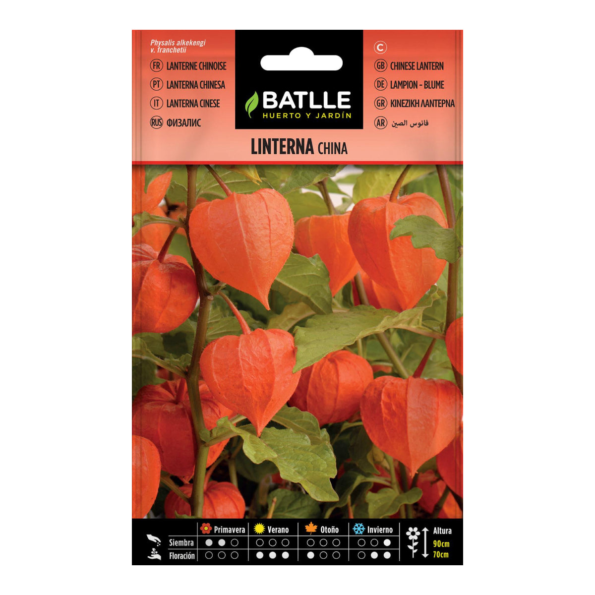 Nasiona lampionu chińskiego Batlle