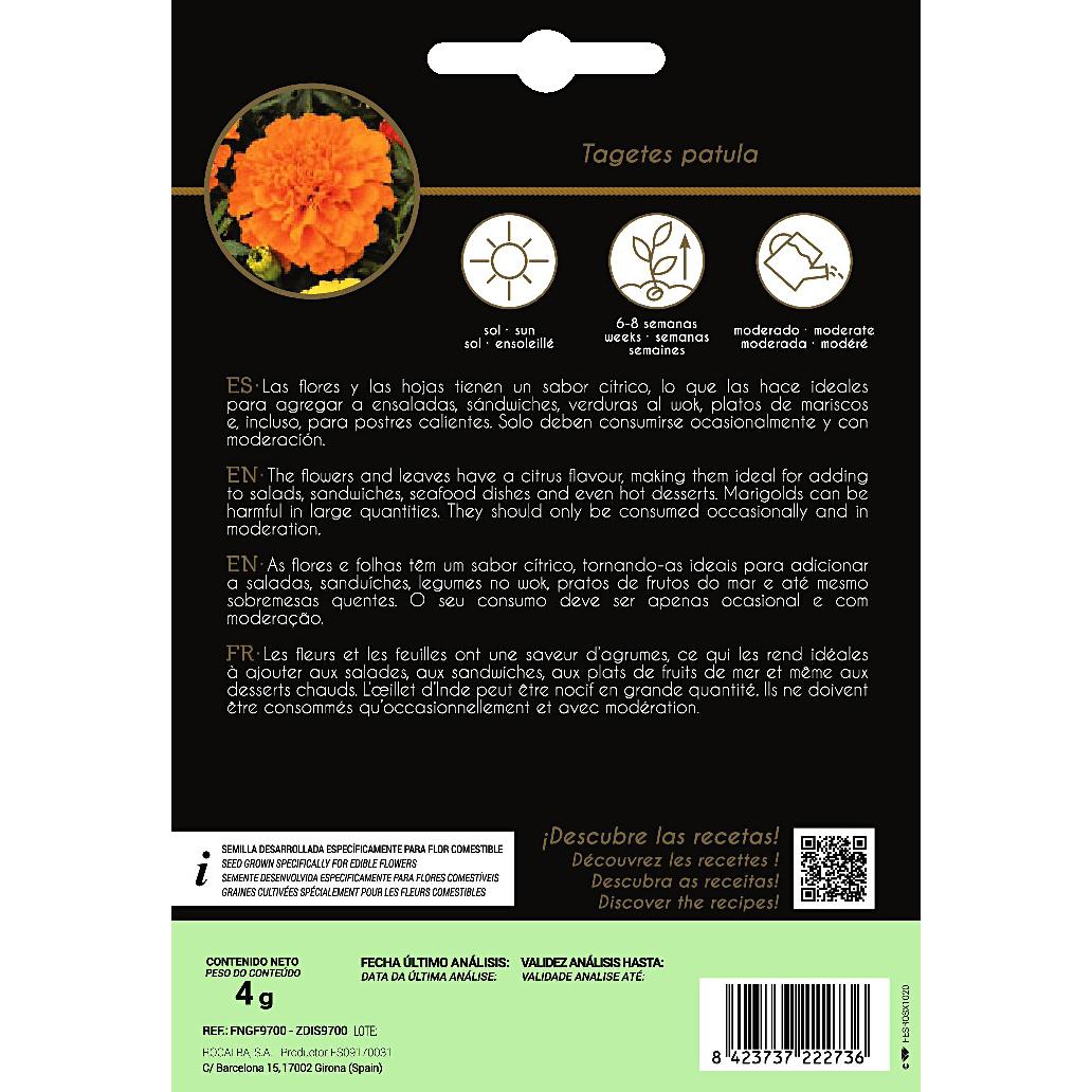 Nasiona jadalnych kwiatów Tagete Rocalba
