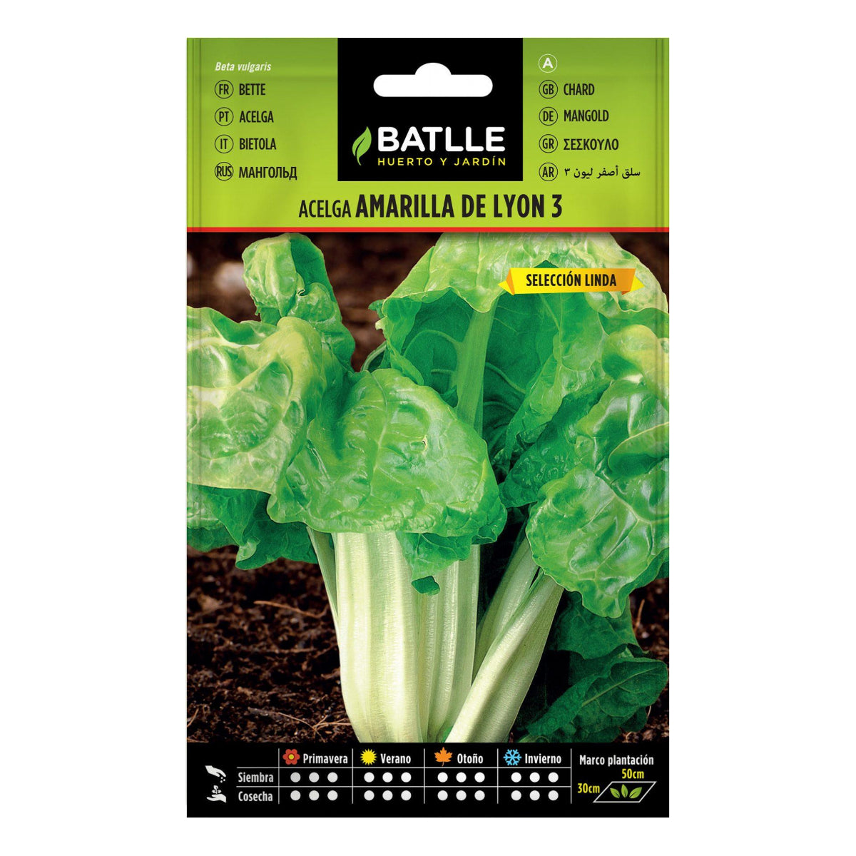 Yellow Swiss Chard Seeds from Lyon, selected by Linda 25 g Batlle
