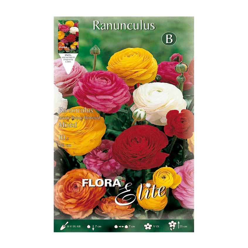 Buttercup Bulbs Mix 10 pcs