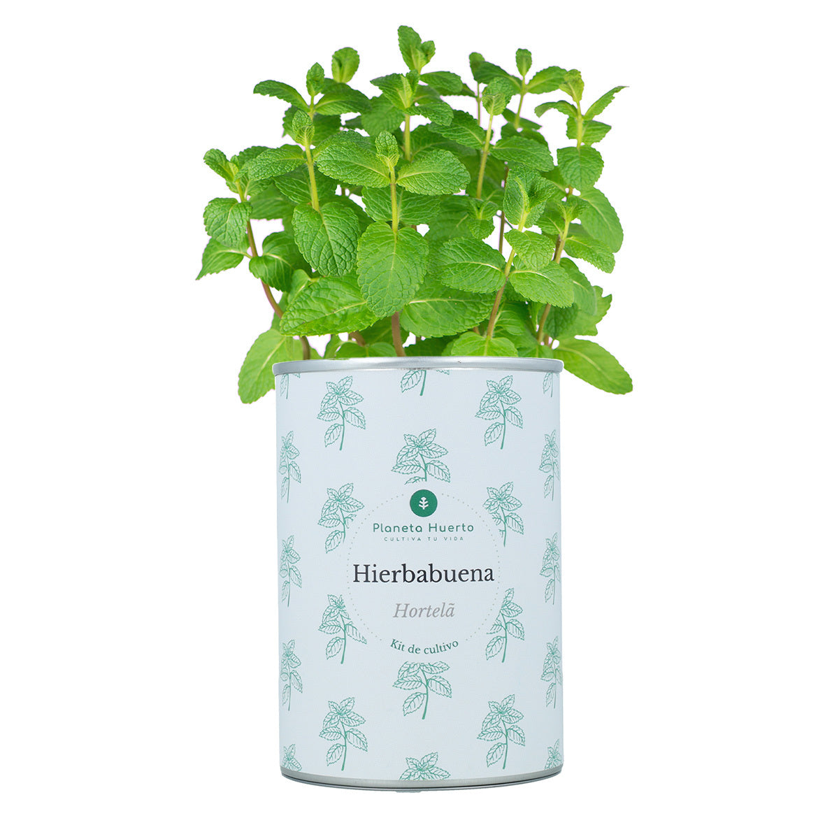 Aromatischer Anbau Kits Chest Pack Planeta Huerto