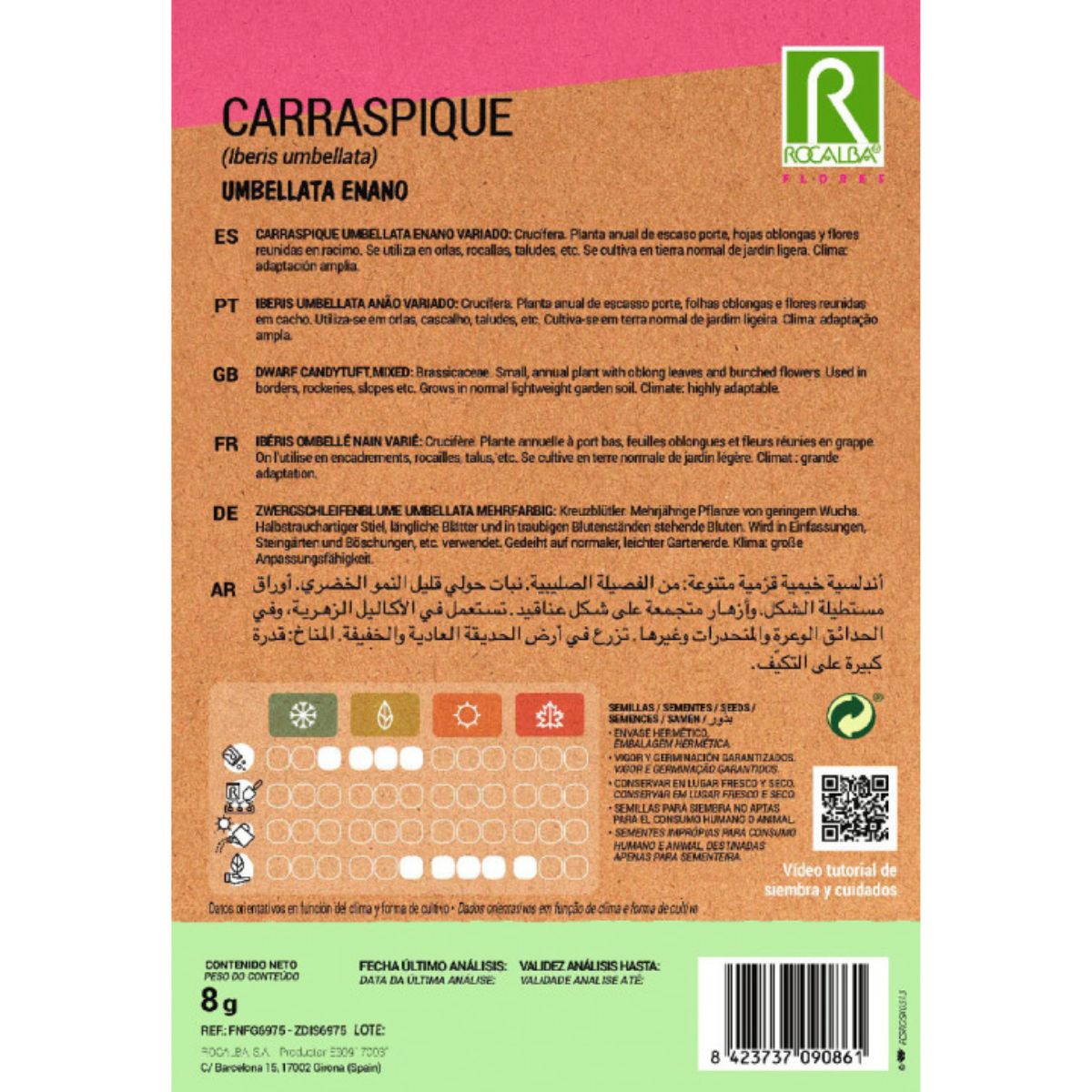 Semi di Carraspique umbellata nano, assortiti