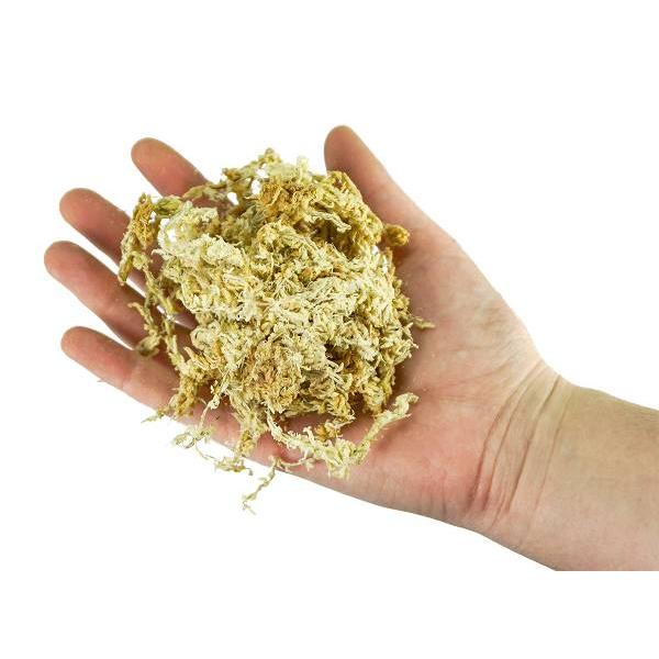 Sphagnum-Moos-Substrat für Bonsai 150 g