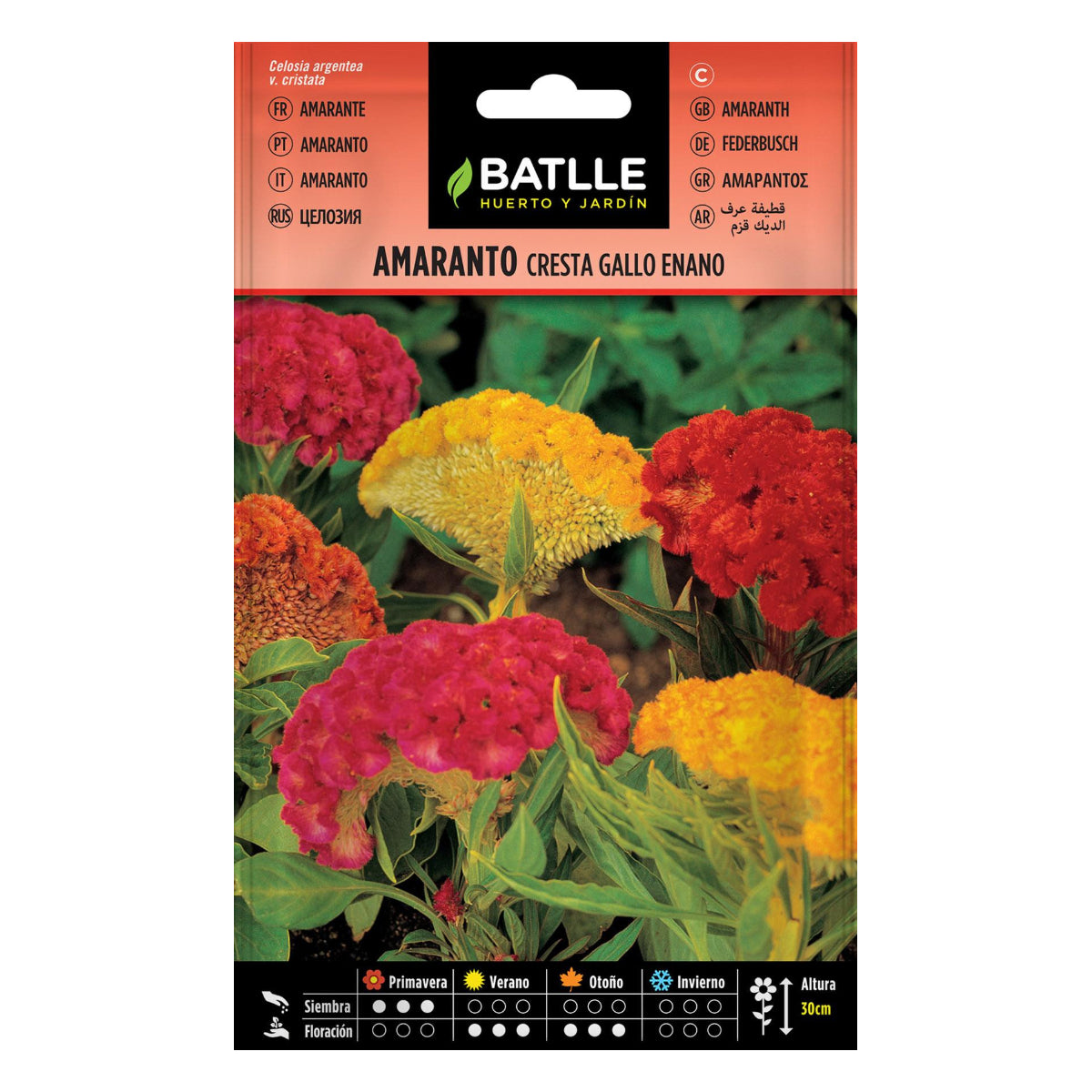 Nasiona amarantusa grzebieniowego Batlle