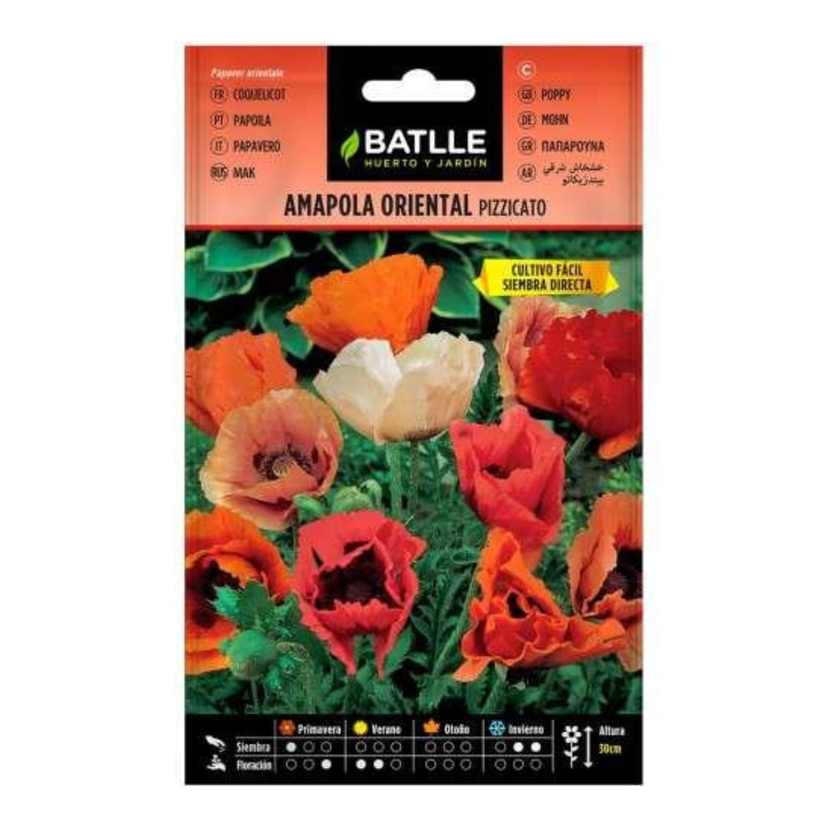 Orientalische Mohnsamen Pizzicato Batlle