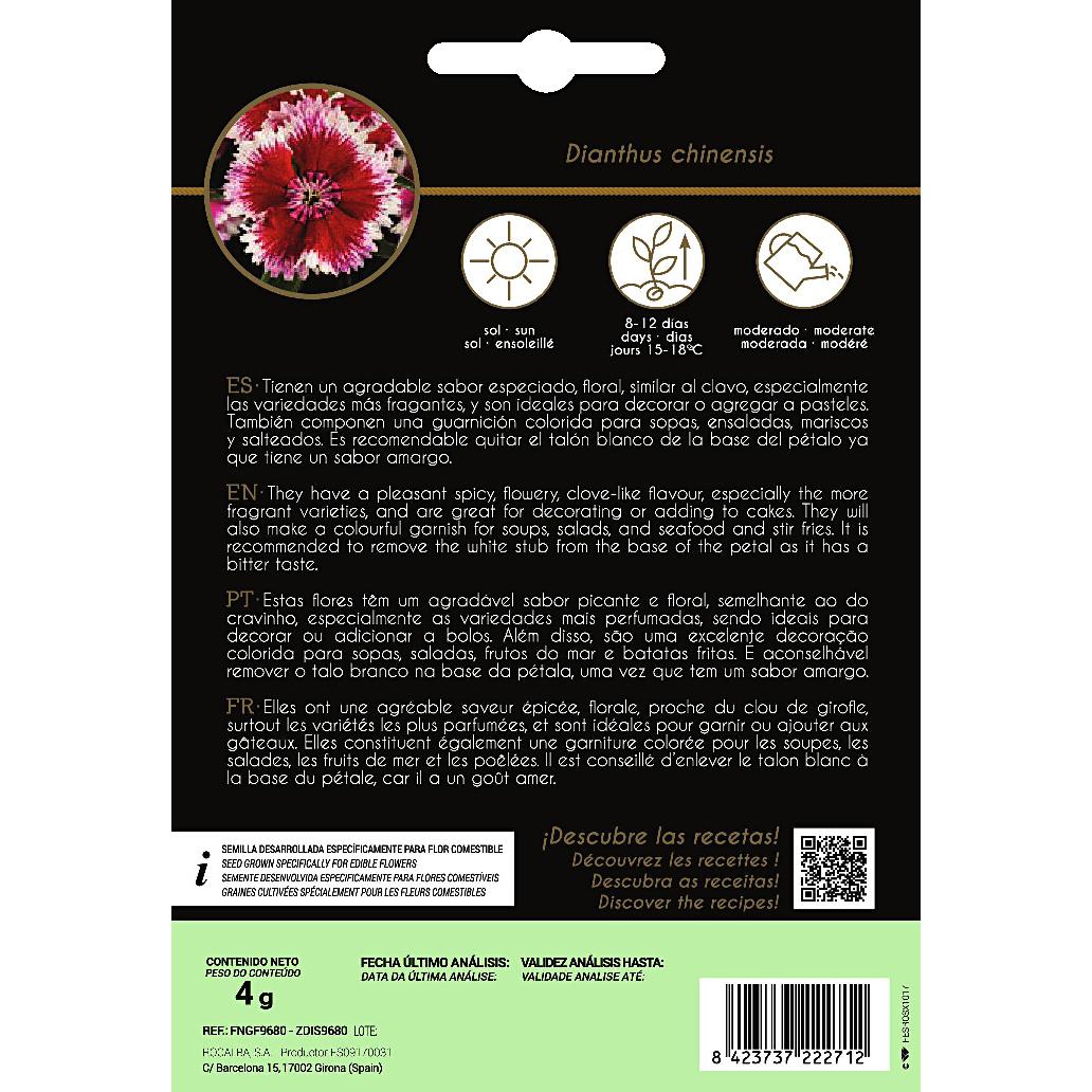 Rocalba Chinese carnation edible flower seeds