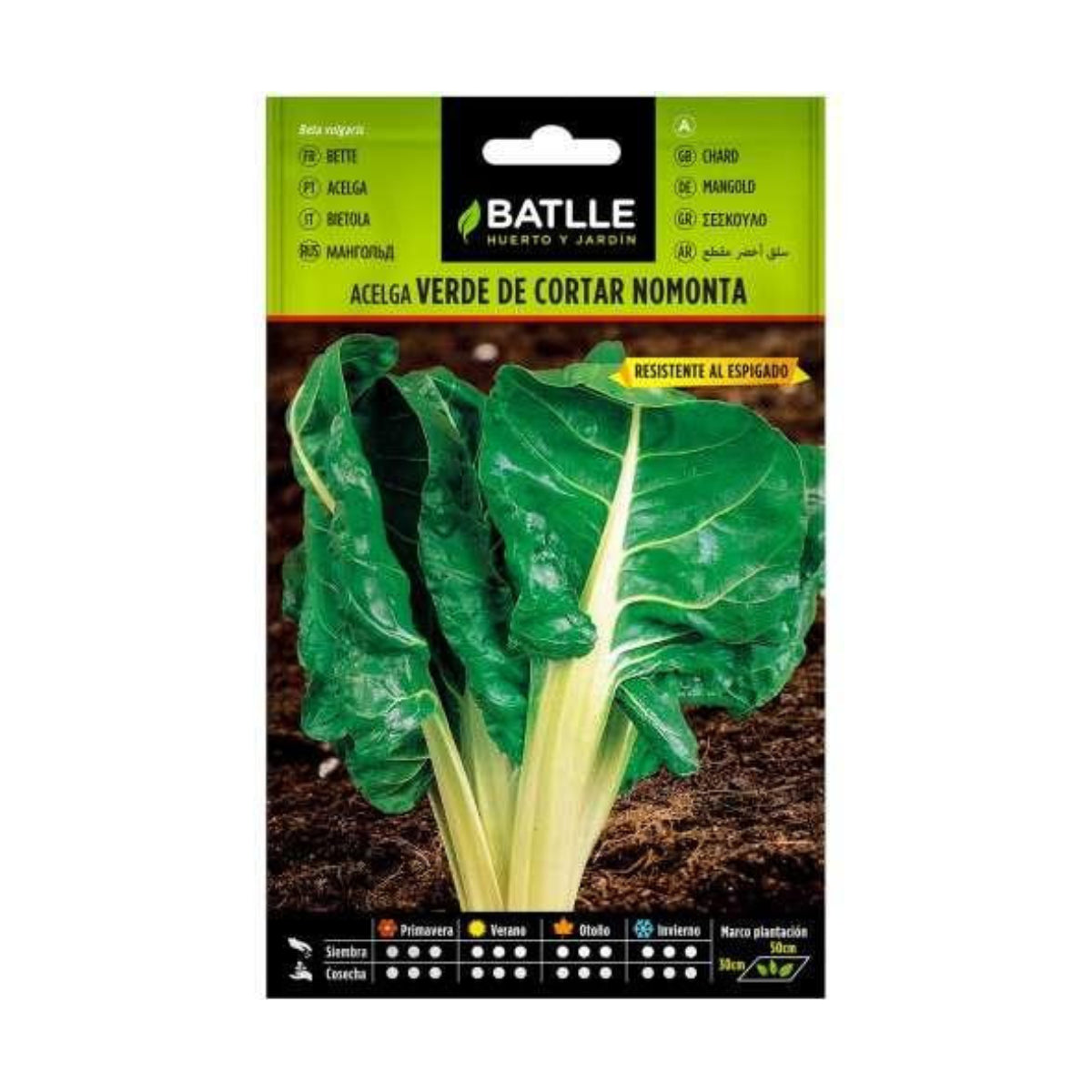 Grüne Mangold-Samen zum Schneiden Nomonta Batlle