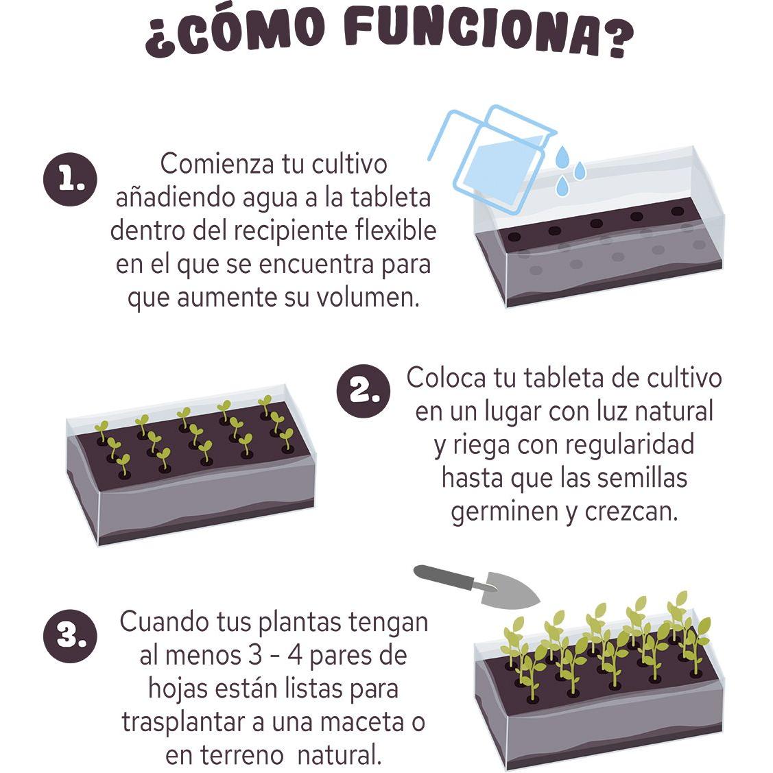 Edible Flower Growing Kit